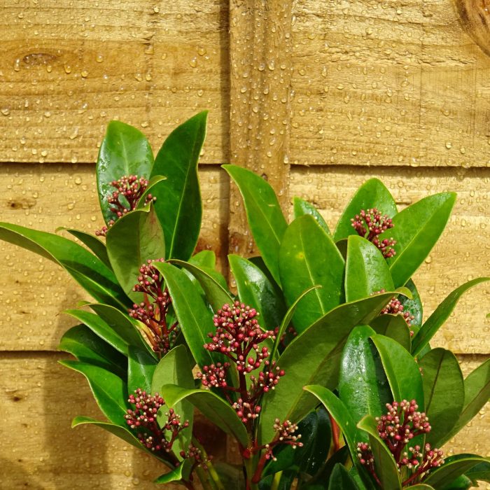 db5c46fd-c74f-40a2-ba19-07f39727a49e