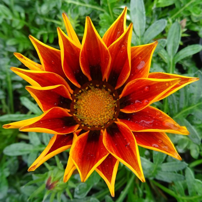 8f4dd194241c3354b1de5b60ddeb5563.jpg 07bc7886-bf40-42d3-afb0-53b79c4d05d9