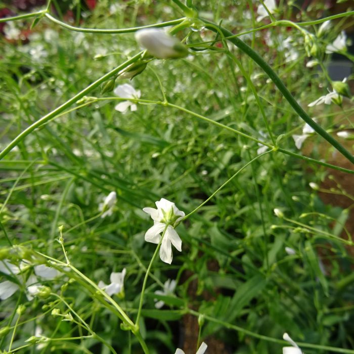 1beba593-5cdc-4d14-8701-8aabc8717857