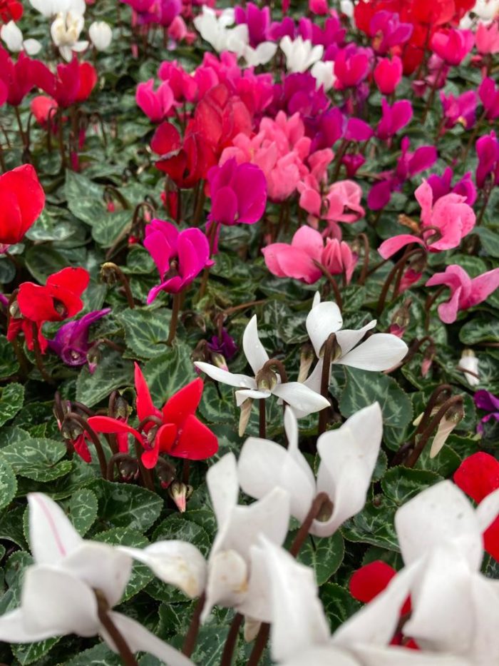 7454a128-71ab-4d07-9b42-ed66dc7aab3c