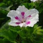6bb5eb56-f7a0-4949-a89b-6ba1b74db9cf
