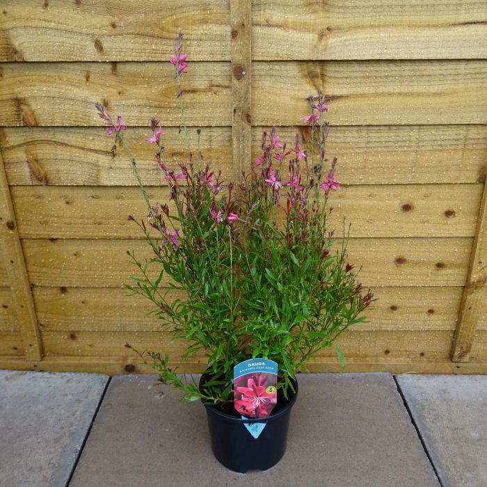 90a3922da05876bdb39019fadce571a5.jpg 1d4a616e-f45a-43c6-9b25-cbfe3c050fcb