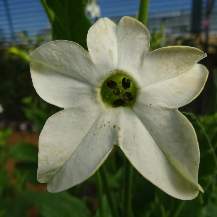 c9747da8-ea5e-431f-8929-ab10dfef8a05