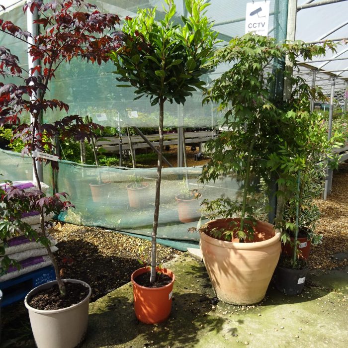 28e17ff5-7600-45a9-bf11-864298bd1a29