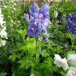 237d0b0e-4419-4ea3-945f-c717f8ca7f41