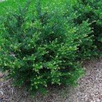 fb72bc24-d47e-47a3-908f-689ff8e74a64