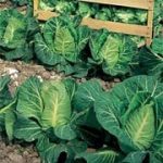 6bd05c12-fbe2-4040-a1a4-a5e3ae249835