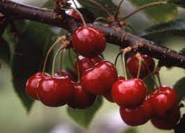 929fd50cb82c4153d6737bf89dec0fb7.jpg e8e8868e-9892-4dea-800c-68f5471d08b0