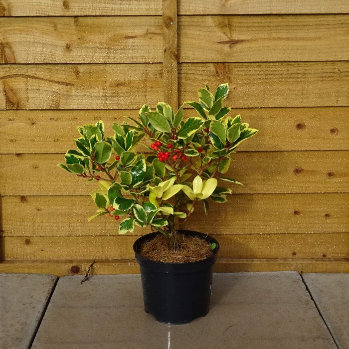 5a71e2b8-0468-4457-b841-d82e7e84ade9