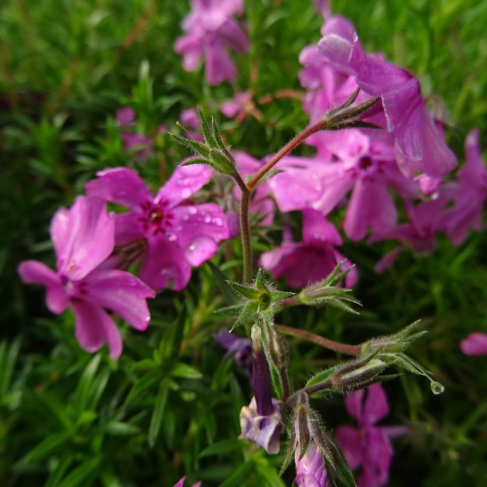 18309a39-8212-443b-b054-27d804dd879e