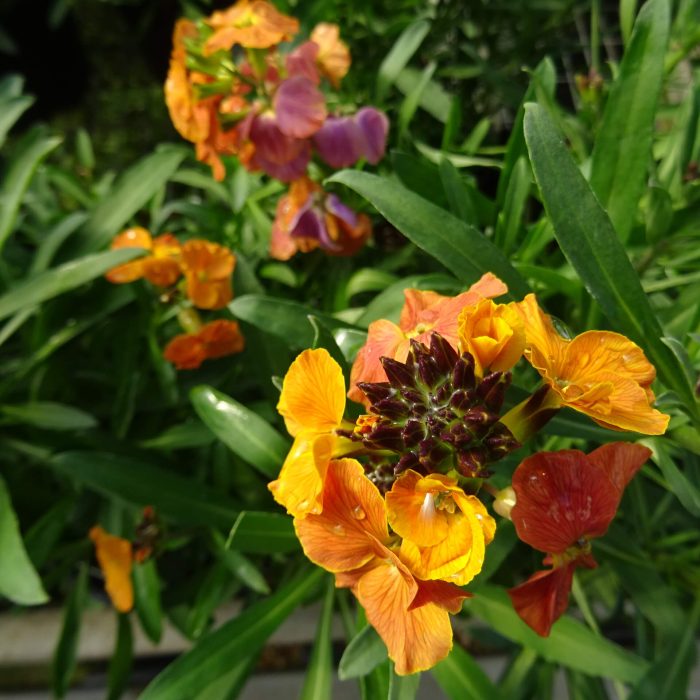 3d4168f4-5710-4f79-9901-8a6e7b008eff