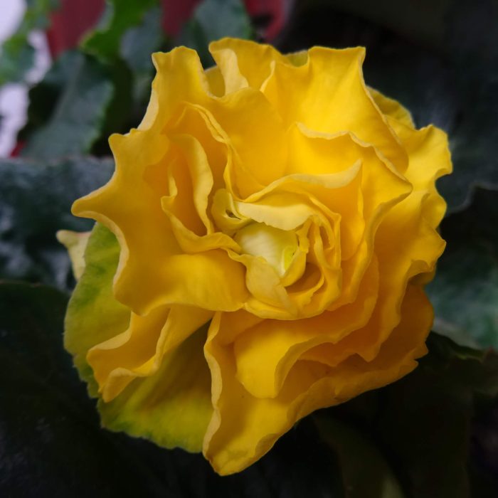 d29cbf08-136b-430b-ad3c-b80c427a7773