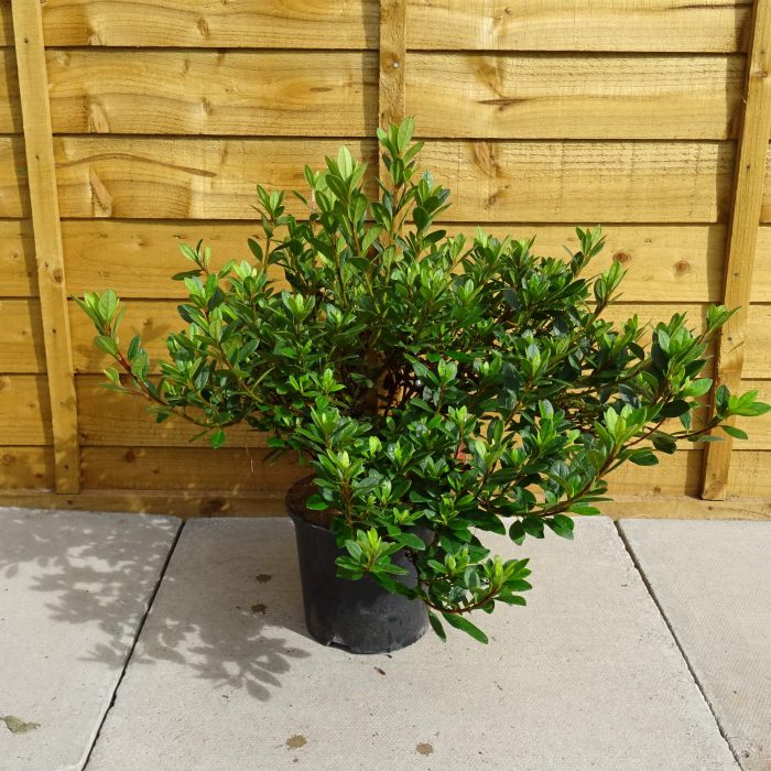 f9ae8c06-5de2-43bd-bed0-04a747fd497d