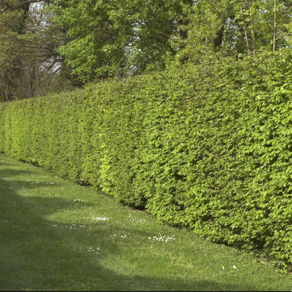 937bf0f2287ca9936e9b6b8ff5b2cae3.jpeg 23e5fdbb-eba1-4f04-bcba-82cfb52e90c8