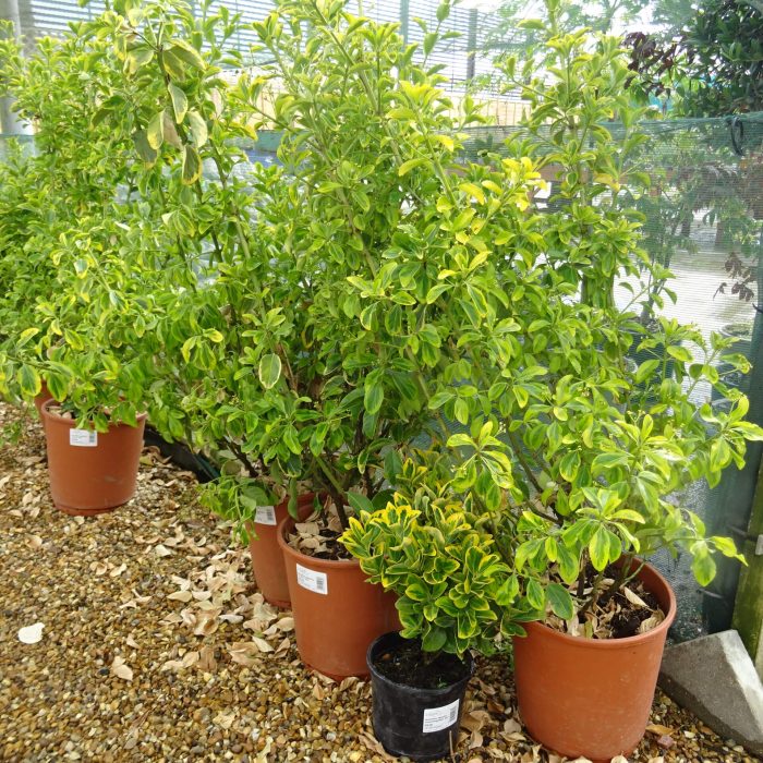 85b4e3ee-335a-49cd-8c4e-292cde67a1bf