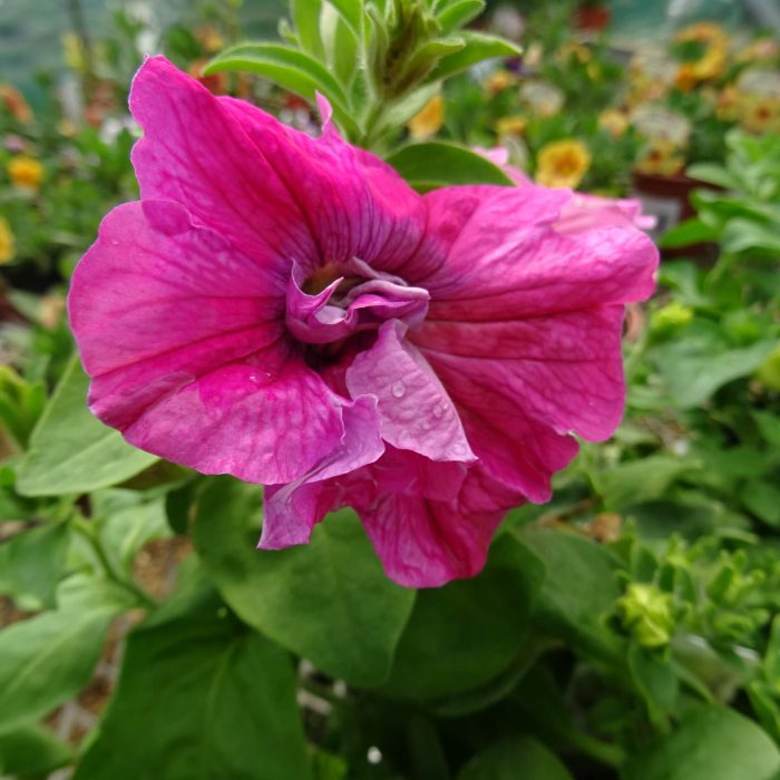 6f19c40f-ec33-473a-baf7-9a23bfd0bf22