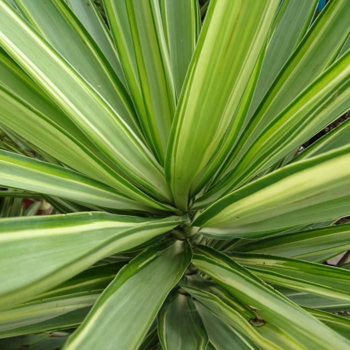 c147ad03-466d-47a5-836b-2f6fbf8fc421