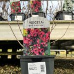 43a16148-64a7-4fca-a433-3682f52b0e88