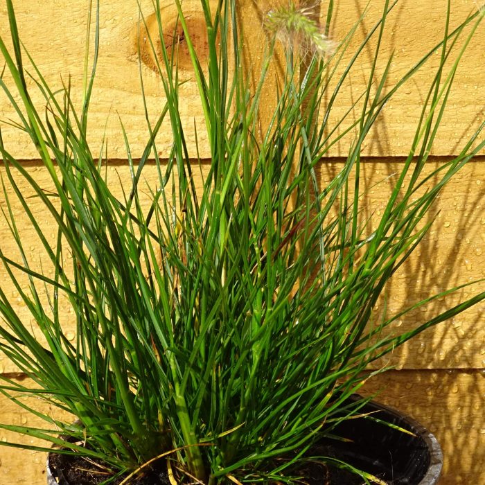 8a8f8a6e-79c5-43ac-92c6-bcff95c8bbc3