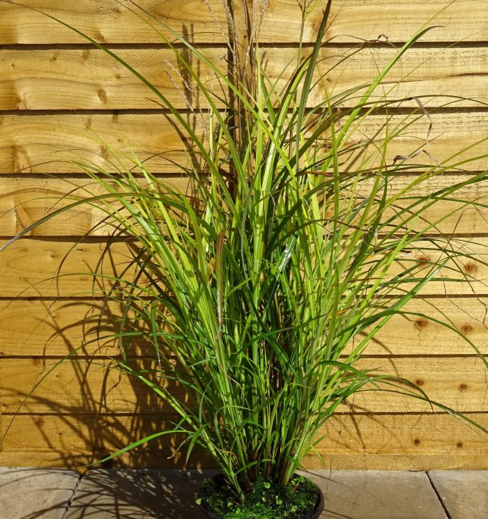 6f37191e-90cf-48e1-a8a6-28e9d8f9bf8c