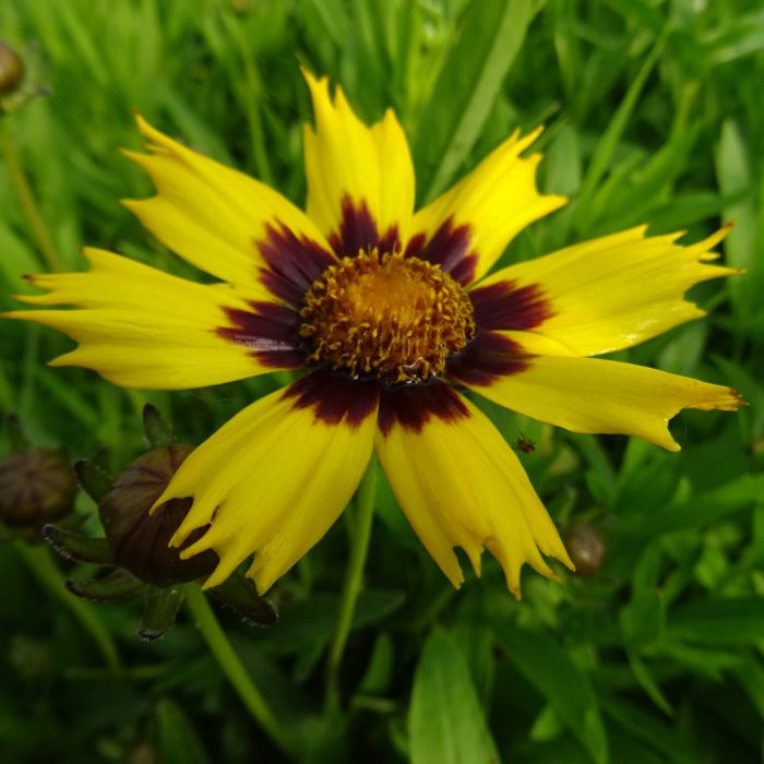 c56aad33-ea7c-4920-89e4-a28d12e821dc