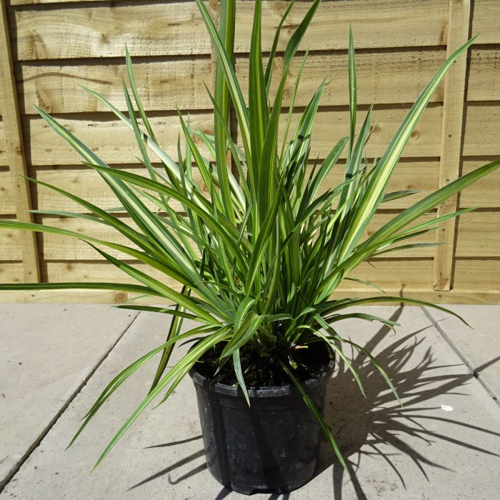 95f7743b1459728320cb8b954c637ce0.jpg 0956c744-dcc4-4743-9d84-e5a4412789f3