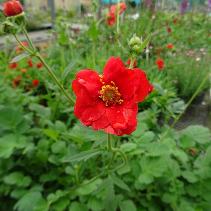 9cf4b074-b7ae-4192-823f-8221ed19680a