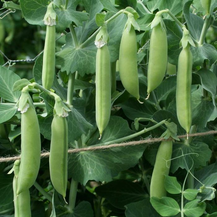 7f68e022-7c42-4a83-bf51-dd30867a5b10