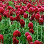 aea1619e-4971-40c3-aee5-5f0bb5db6adb