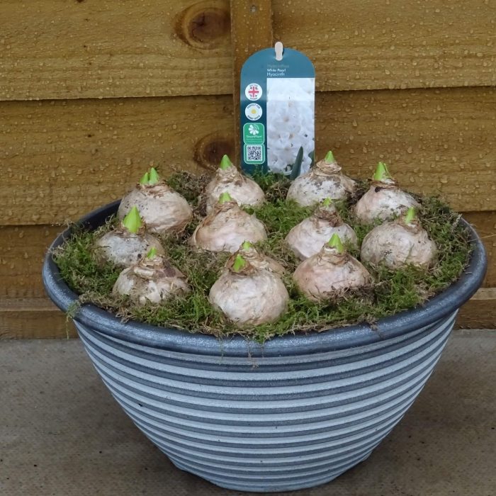 97058abcdb1cbed170b07ed77d14f7fd.jpg 3b946557-351e-49be-b147-9ac7812da04d