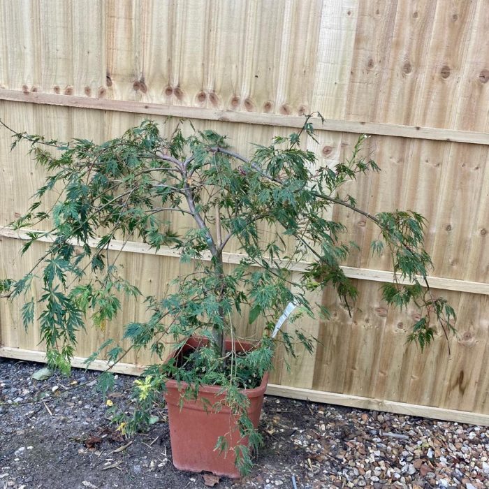 971b5a0df17154463af42720d6478502.jpg 96699d23-8756-454f-956b-e09bbe9ba883