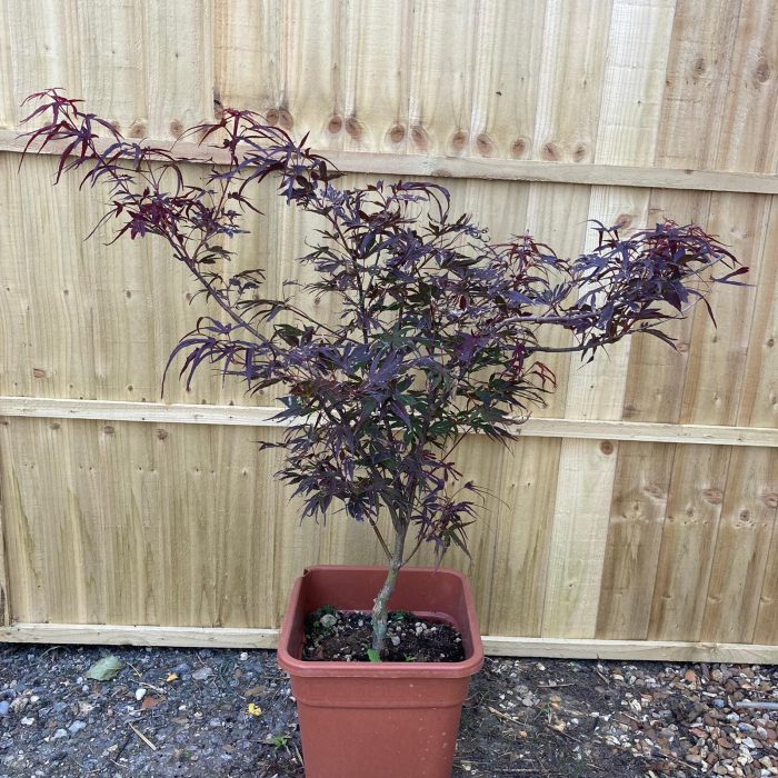 ea52a01c-a786-4d02-b93d-edbcacd611e5