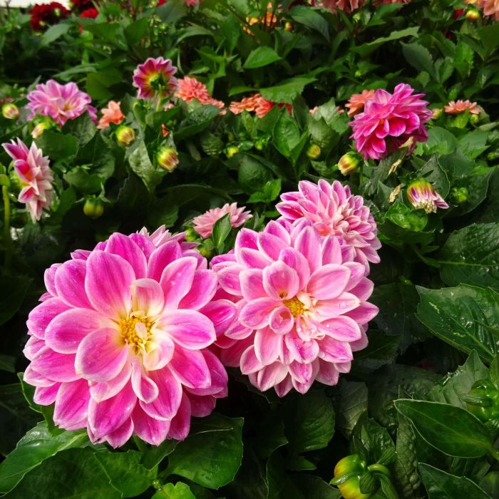 699e4674-45e9-4d26-843f-75ae14544f22