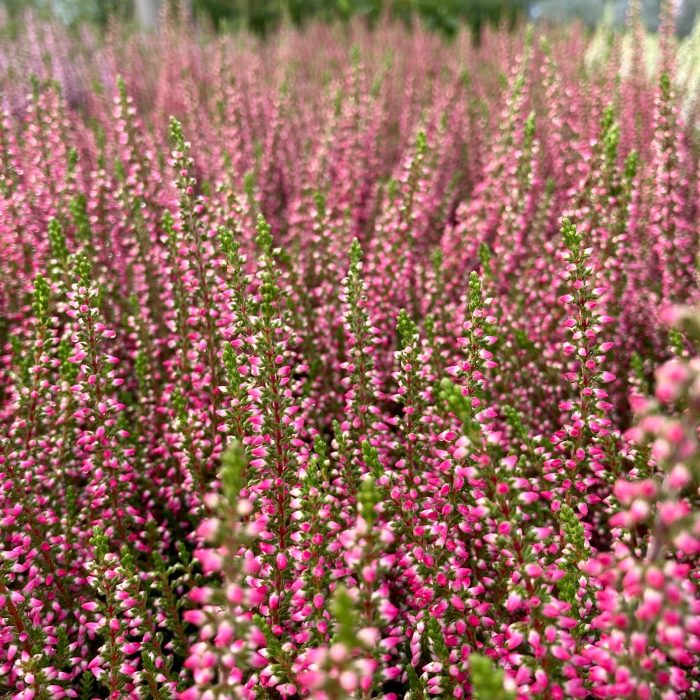 3384571a-91d4-40d5-b6c5-0d1f58c2c14b