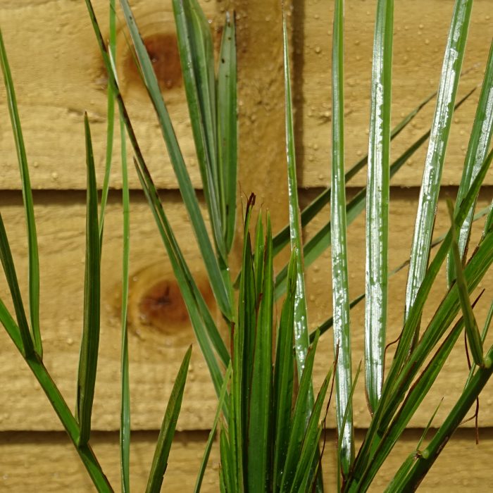 99eea88d4332f9b1624d37825bcc2b2f.jpg 1995bed3-ad90-421a-bf37-a1fe064bd9ee