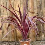 239f5a64-4745-49e7-ab43-adee2c250f93