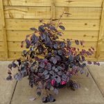 48eba9f2-d6ef-42fc-bb56-0c7ebf223e4c