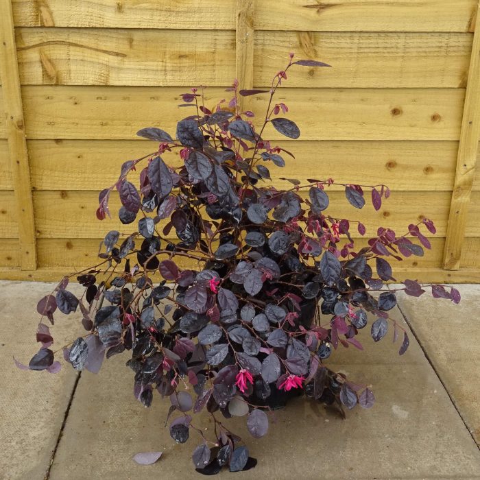 48eba9f2-d6ef-42fc-bb56-0c7ebf223e4c