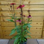 d46d41f3-32cb-4333-ac9d-59f160002db8