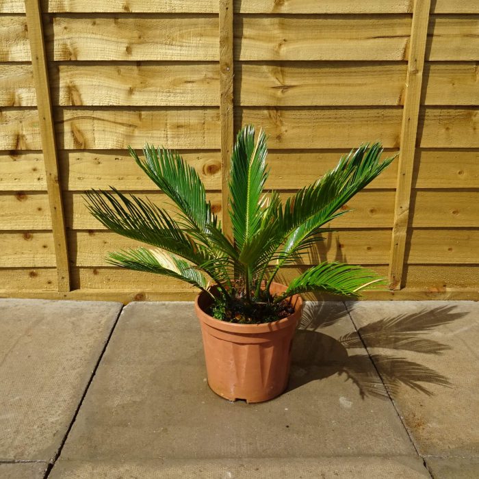 9b790d23a788a2947ef3640e6d09a597.jpg 242dd74e-e0a1-4040-a3c3-5c1861305ba6