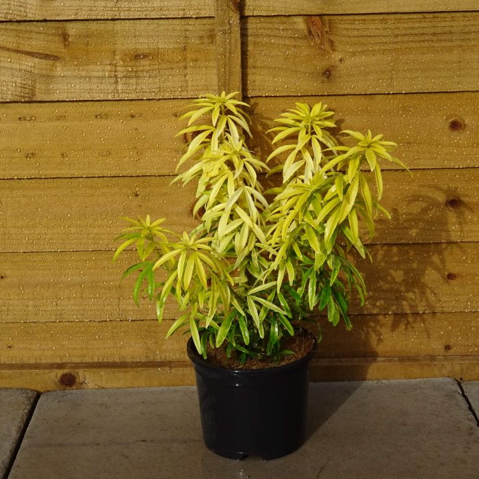 9b88cb6be08d1718667890526a3bef8d.jpg 03ebf26f-bd1f-41a6-8c38-18d50752b579