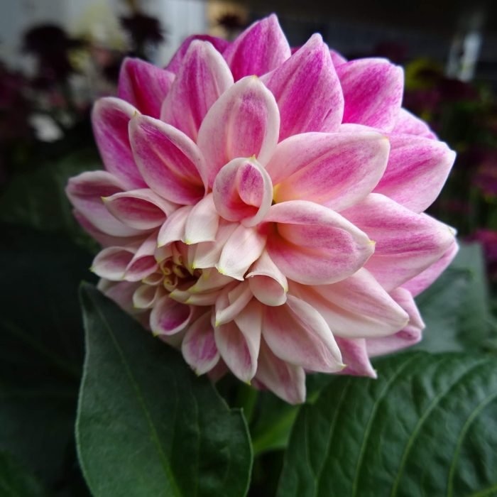 b05ad166-e3a0-462f-a514-34e874549e23