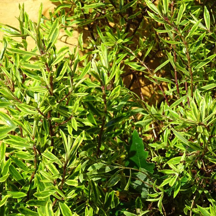 4041c88c-6622-4fd8-b3d1-aae608ecad3c