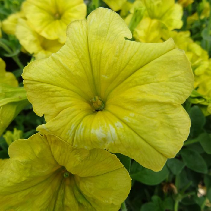 e8411267-eb8e-4f30-8b67-74f37834a3df