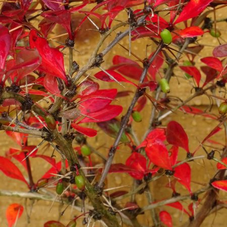 07901c52-537e-4eed-bce2-9835e4ebb967