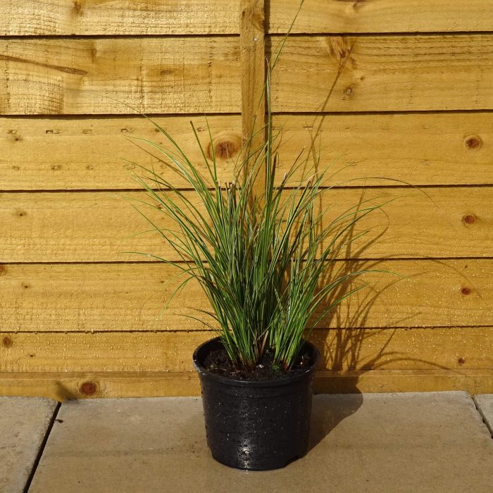 d724ec95-9ccd-4fb6-ac8a-4df31b11c29a