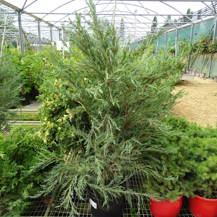 8f1f6fa0-948e-4858-b0bb-b7c3aa35eea2