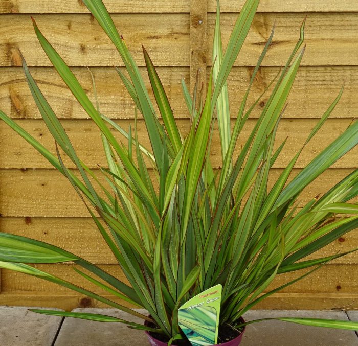 68cff33a-2a30-4ca5-ac70-c31bba963893