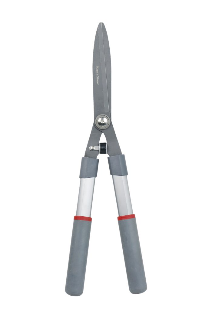 31c1c8a3-ceec-4ad4-8960-d15e8227bd9f