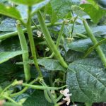 b4d6061f-ddff-4866-a758-932bcca79077